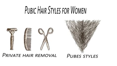 Category : Female pubic hair styles